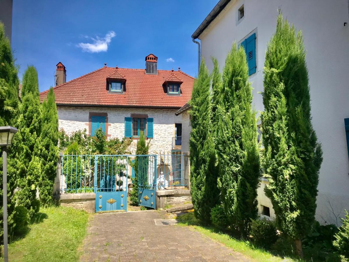 Bed and Breakfast Manoir Saint-Pierre Villersexel Zewnętrze zdjęcie