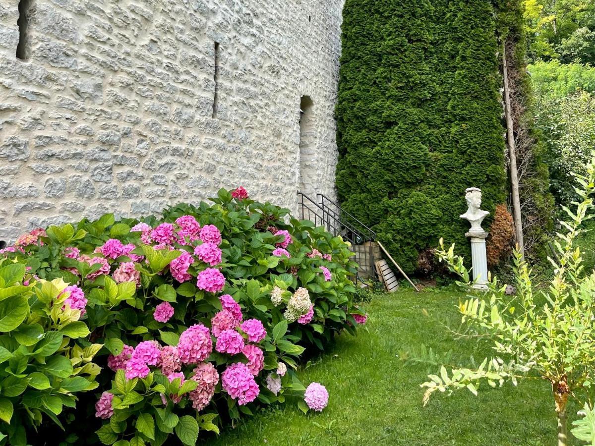 Bed and Breakfast Manoir Saint-Pierre Villersexel Zewnętrze zdjęcie